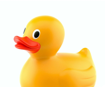 Chuck a Duck